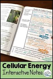 Cornell Notes For Biology Atp Photosynthesis And Cellular Respiration In 2020 Photosynthesis And Cellular Respiration Middle School Science Experiments Interactive Science Notebook