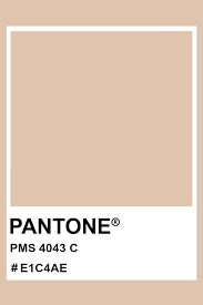 We did not find results for: Pantone 4043 C Pantone Color Pms Hex Pantone Colour Palettes Beige Color Palette Brand Color Palette