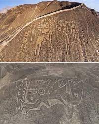The Palpa geoglyphs, located in Peru's Palpa Valley, were created between  500 BC and 500 AD and represent remarkable ancient designs etched into the  earth. ᴀssociated with the Paracas and Nazca cultures,