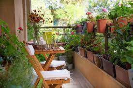 Bila balkon bunda terlalu dekat dengan balkon tetangga, tambahkan beberapa tanaman bambu ke balkon. 8 Tanaman Hias Terbaik Untuk Balkon Bambu Hingga Geranium Halaman All Kompas Com