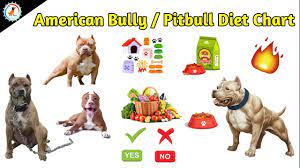 Top pitbull dog food brands. Best Dog Food For Pitbull Oodle Life