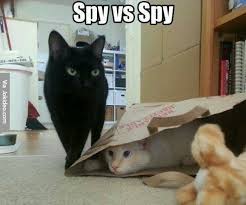 Image result for spy memes