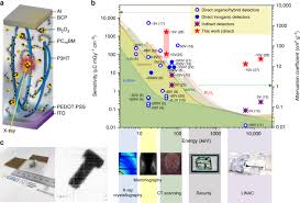 How much does a cat cost? High Sensitivity Organic Inorganic Hybrid X Ray Detectors With Direct Transduction And Broadband Response Nature Communications