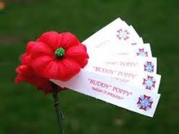 Pin On Poppies Buddy Poppy