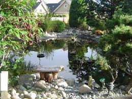 Comment Faire Son Propre Bassin De Jardin En Quelques Etapes Bassin De Jardin Petit Bassin De Jardin Amenagement Jardin