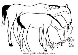 Was ist was pferde von frechen fohlen und wilden mustangs. Pferde 09 Gratis Malvorlage In Pferde Tiere Ausmalen