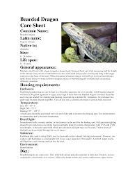 Care Sheet Bearded Dragon Bearded Dragon Care Bearded Dragon Care Sheet