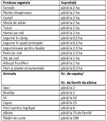 Valabilitatea prezentului atestat de producător este de 5 ani de la data emiterii, respectiv de la ….până la se completează. Atestatul De Producator Si Carnetul De Comercializare Cand Ne Trebuie Aceste Acte Si Cum Le Obtinem