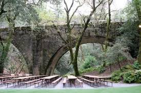 Matt Sarah S Wedding Website Wedding Locations California California Wedding Wedding Southern California