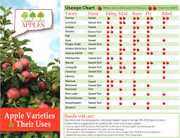 Guide To Apple Varieties Ctcider