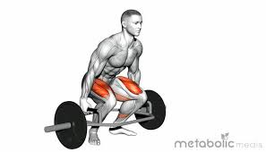 Muscles used in the traditional deadlift. An Nfl Strength Coach S Top 10 Lower Body Exercises Metabolic Meals