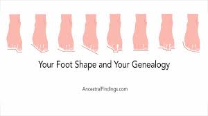 Your Foot Shape And Your Genealogy Ancestral Findings