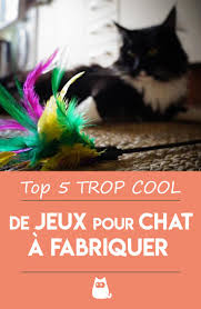 Top 5 Des Jeux Pour Chat A Fabriquer Jeux Pour Chat Jouet Pour Chat Jeux Pour Chaton