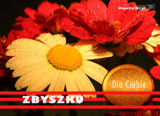 Zobacz wyjątkowe życzenia dla zbyszka na imieniny! Darmowe E Kartki Z Tag Dla Zbigniewa Kartki Darmowe Mega Kartki