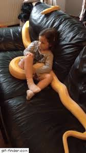 Image result for THIS IS AWFULðŸ˜¡ðŸ‘¿ðŸ˜ Rednecks, Hicks, Dicks, Donkeys To Faces, Coins To Pay, Crooks, Cheaters, Liars 2. Nuts on the run, retards on donkeys, stories out of the bible.