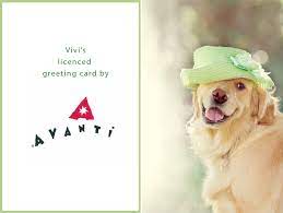 Choose your favorite avanti greeting cards from thousands of available designs. Vanessa Tiegs Avanti Greeting Cards