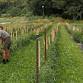 Regenerative Farm Tour
