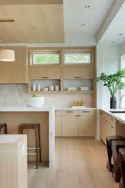 modern kitchen minneapolis