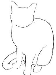 How To Draw A Cat Draw Central Animal Drawings Cat Sketch Cat Drawing