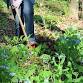 Gardening for Everyone