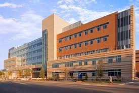 Retail / mixed use • office / corporate • financial institutions • hospitality • interior design • institutional • renovation & redevelopment • urban & land planning. Bachelor Of Science In Architecture From University Of Texas At Arlington Fees Requirements Ranking Eligibility Scholarship