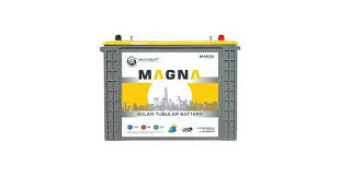 Aaron Magna Solar Tubular Battery for Home Office & Shops (Model :  MAG2060TT & Capacity : 12V200AH@C10) : Amazon.in: Home & Kitchen