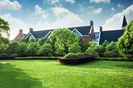 Where do you need the lawn fertilizing? Purely Organic Lawn Food Reviewed Best Lawn Fertilizer In 2021