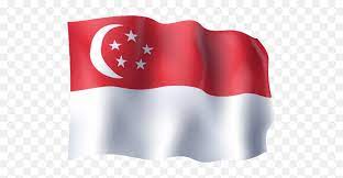 File size must be 4 mb or less. Waving Flag Of Singapore Singapore Wave Flag Png Waving Flag Png Free Transparent Png Images Pngaaa Com