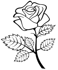 Some of the petals display cool spots that would look great in a contrasting shade. Rose Coloring Pages For Kids Flowers Drawing With Crayons