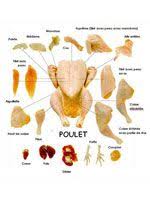 Pin On Poulet Dinde Chapon Chicken Turkey Capon