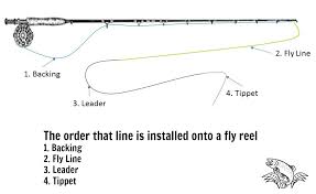 What Is Fly Line Backing And How Much Do You Need Guide