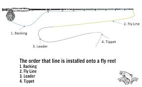 what is fly line backing and how much do you need guide