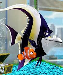 Nemo Hd Wallpapers For Android Tablet Disney Finding Nemo Nemo Movie Finding Nemo