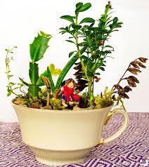 Miniatur gartenmöbel, deko & zubehör! Diy Mini Garten Mit Kleiner Hexe Funkelfaden