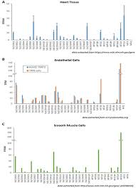Zinc Deficiency And Cellular Oxidative Stress Prognostic Implications In Cardiovascular Diseases Acta Pharmacologica Sinica
