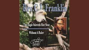 The Eagle Stirreth Her Nest 2