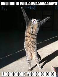 Inspirational Cat Memes
