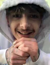 Obituary information for Brayden Franson