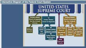 interactive diagram of the federal court system the