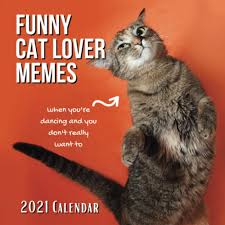 • • • bernie memes are so last week. Funny Cat Lover Memes 2021 Calendar Gifts Christmas Shook Megan 9798563390423 Amazon Com Books