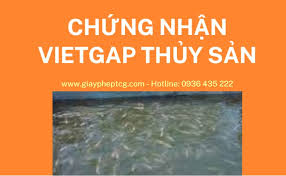 Vietgap Archives - Tcg cung cấp dịch vụ tư vấn chứng nhận ISO 13485, 9001,  22000, Haccp... và các dịch vụ khác: CE Marking, FDA, CFS (bộ công thương,  bộ nông nghiệp,
