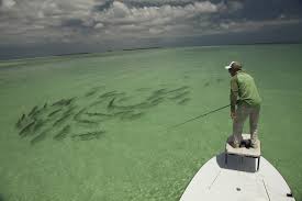Bass fishing bass fishing wallpaper backgrounds wallpaper cave. Offshore Fishing Wallpapers Group 42