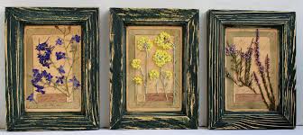 Some of the technologies we use are necessary for critical functions like security and site integrity, account authentication, security and privacy preferences, internal site usage and maintenance data, and to make the site work correctly for browsing and transactions. Pressedflowers Pressedflowers1 Twitter