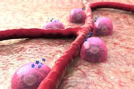 Check spelling or type a new query. Optogenetics Used To Control Diabetes Without Medication