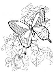 We did not find results for: Printable Colouring Simple Fun Coloring Pages For Adults All Round Hobby