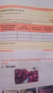 Diskusi tentang produk non pengertian hasil samping non. Prakarya Kelas 8 Hal 171 Lk 2 Tolongggg Jawabb Sekaranggg Brainly Co Id