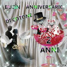 Se non ti avessi già sposato, ti sposerei di nuovo. Buon Anniversario Di Cotone 2 Anni Picmix