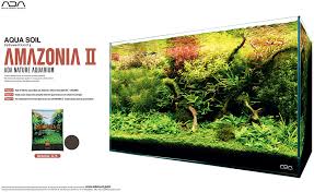 Now that you already determined the ideal location and dimensions of your tank, it is time to think about your planted aquarium style. Tropical Fish Hobbyist Mar Apr 2019 Nature Aquarium Basics A Triangular Branch Wood And Lava Rock Layout