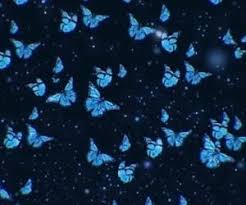 Lustandlettuce In 2020 Baby Blue Aesthetic Light Blue Aesthetic Blue Butterfly Wallpaper