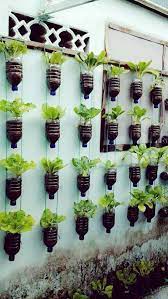 Hanging Plants Creative Ideas For Hanging Plants Indoors And Outdoors Indoor Outdoor Hanging Planter Ideas Vertical Garden Diy Vertical Garden Design Plants
